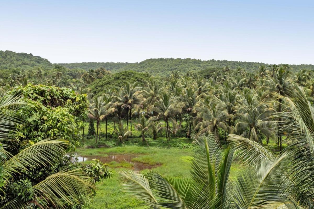 Ikigai Luxury Stays Vieux-Goa Extérieur photo
